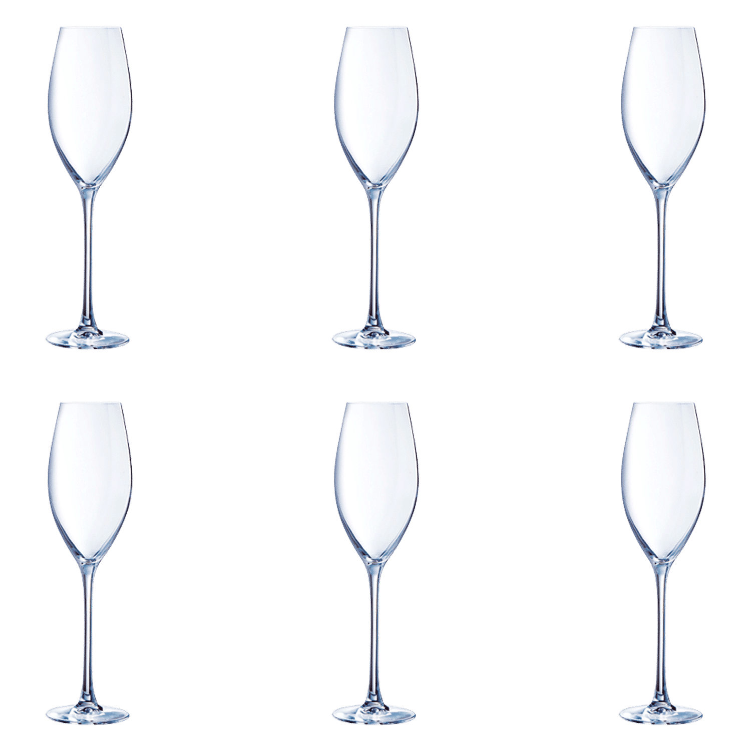 Chef & Sommelier Grand Cepage Champagneglas / Flute 24 Cl - 6 Stuks - Glazen.nl