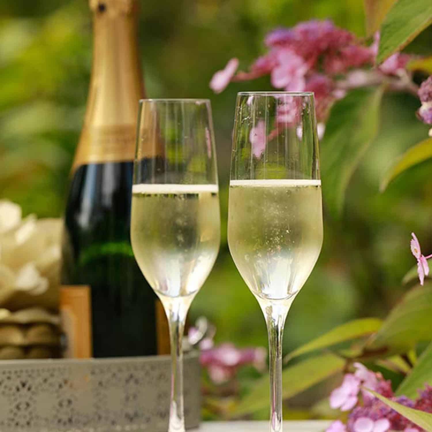 Stölzle Ultra Champagneglas / Flute 19 Cl - 6 Stuks - Glazen.nl