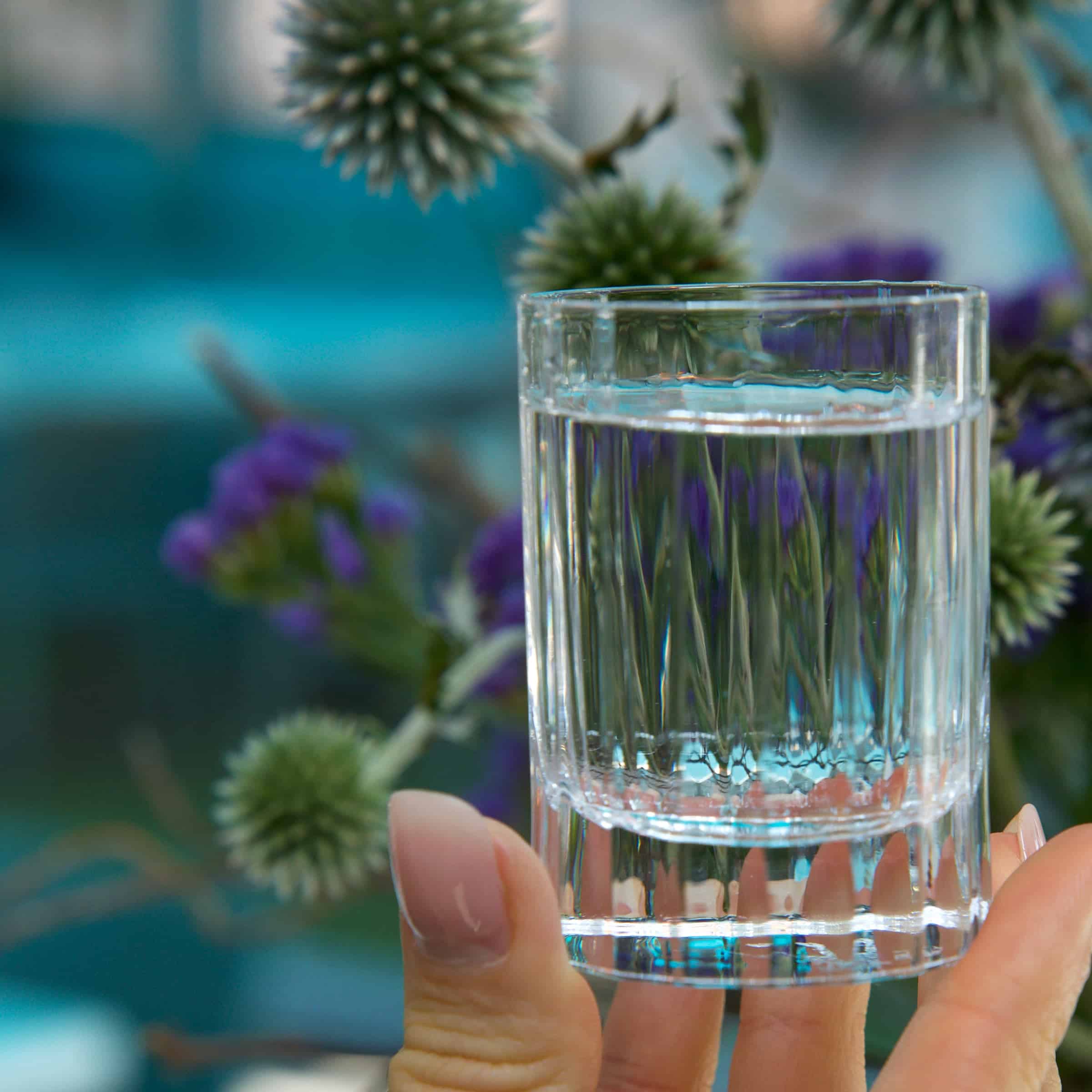 Luigi Bormioli Bach Ginglas 60 Cl - 4 Stuks - Glazen.nl